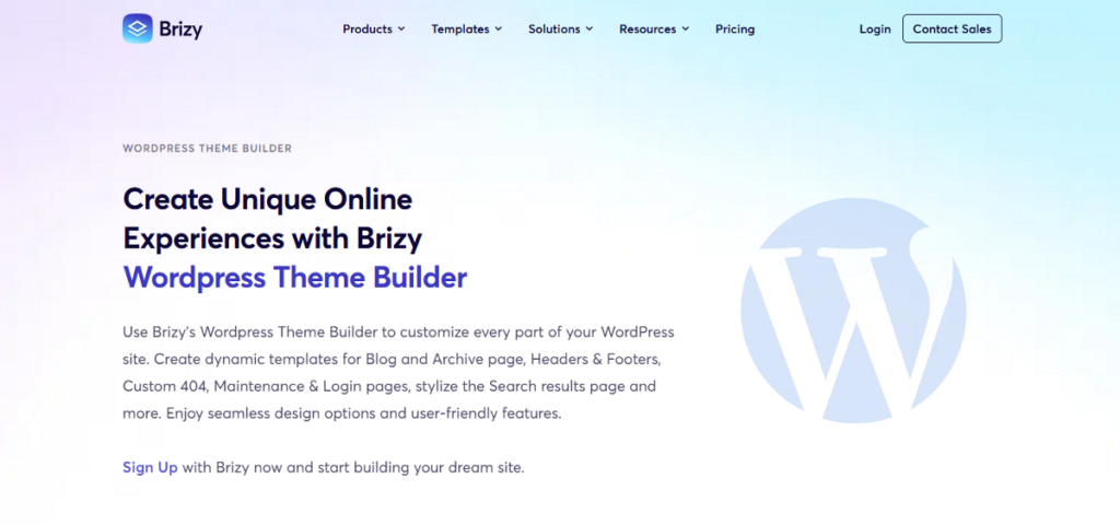 Brizy theme builder