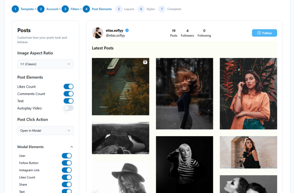 choose what elements to display on your Elevated Instagram feed